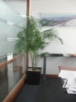 Planta Empresa 08