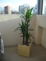 Planta Empresa 02