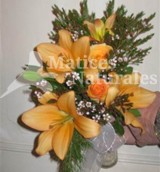 Lilium 02