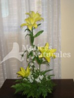Lilium 3 niveles