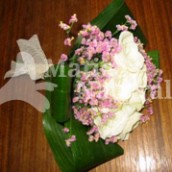 Rosa 02