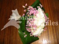 Rosa 02