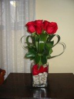 Rosas 03