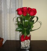 Rosas 03